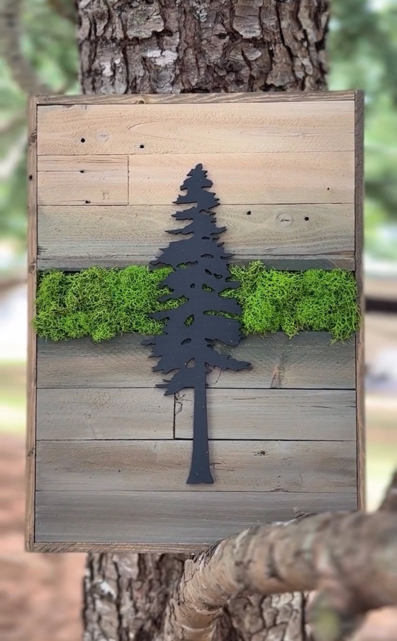 Wood Landscape "Secrets of the Forest"