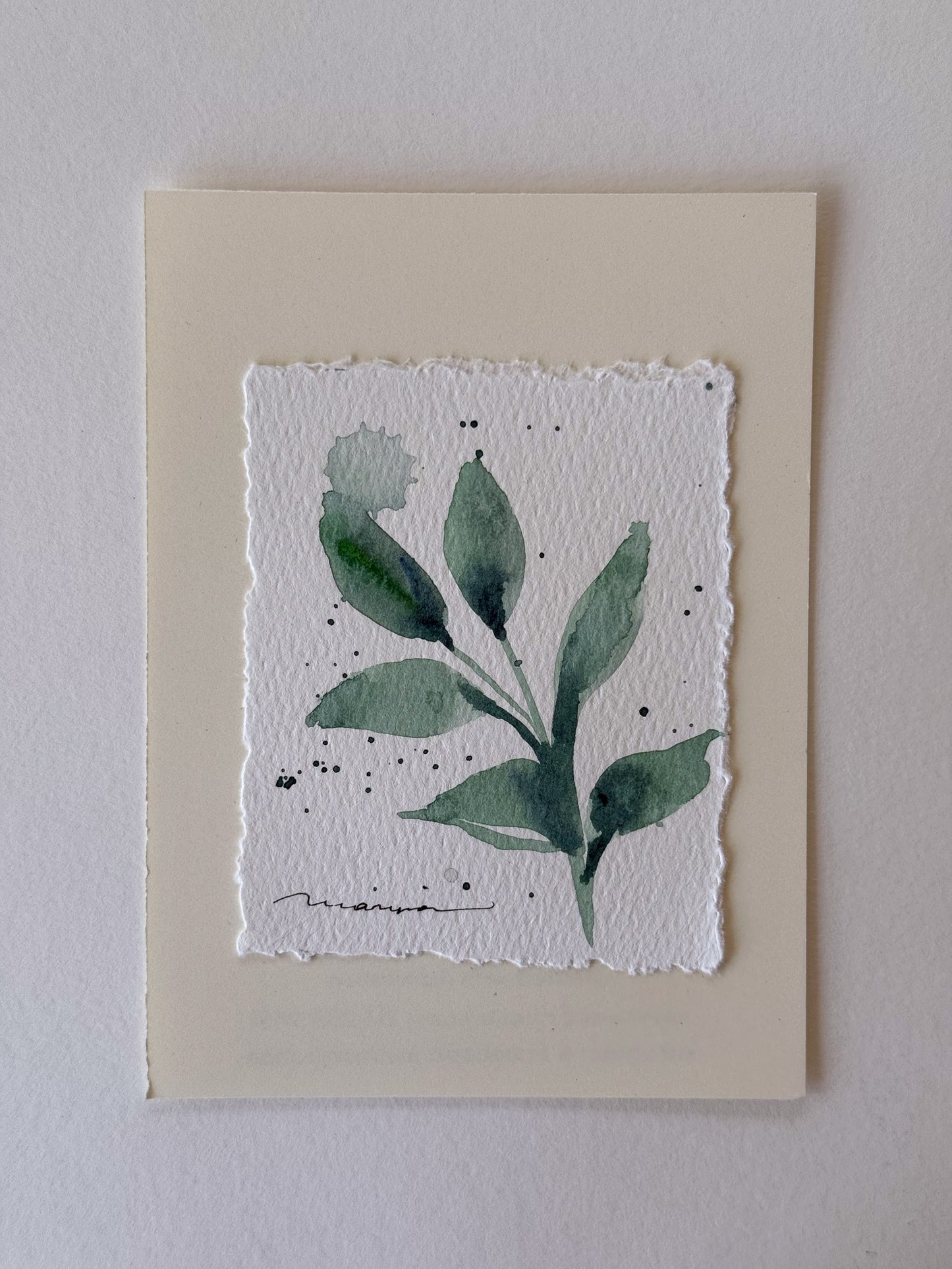 Hand painted watercolor cards