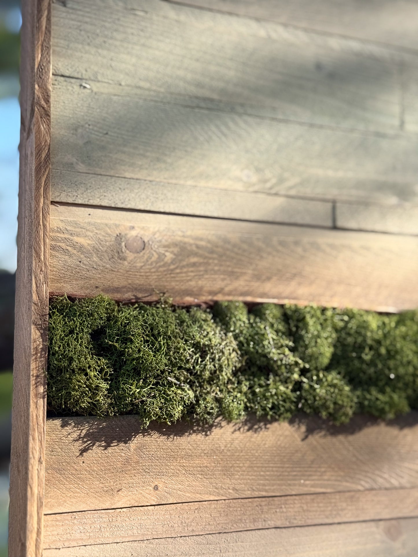 Wood Landscape "Skimming the Morning Air"
