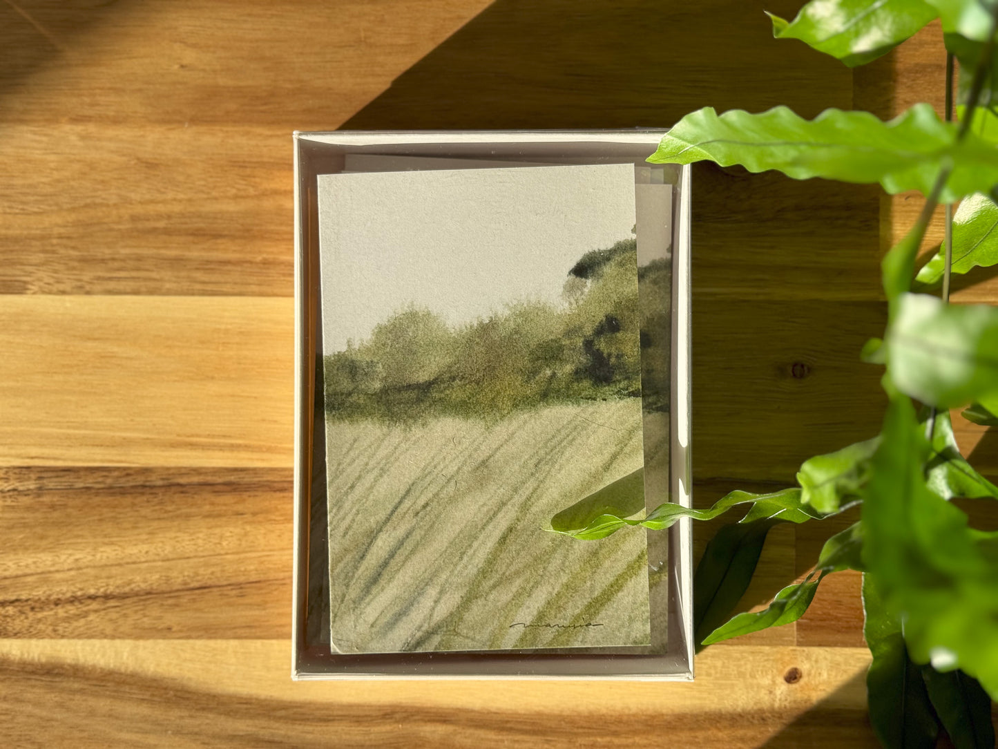 Greeting cards Inspired by Door County