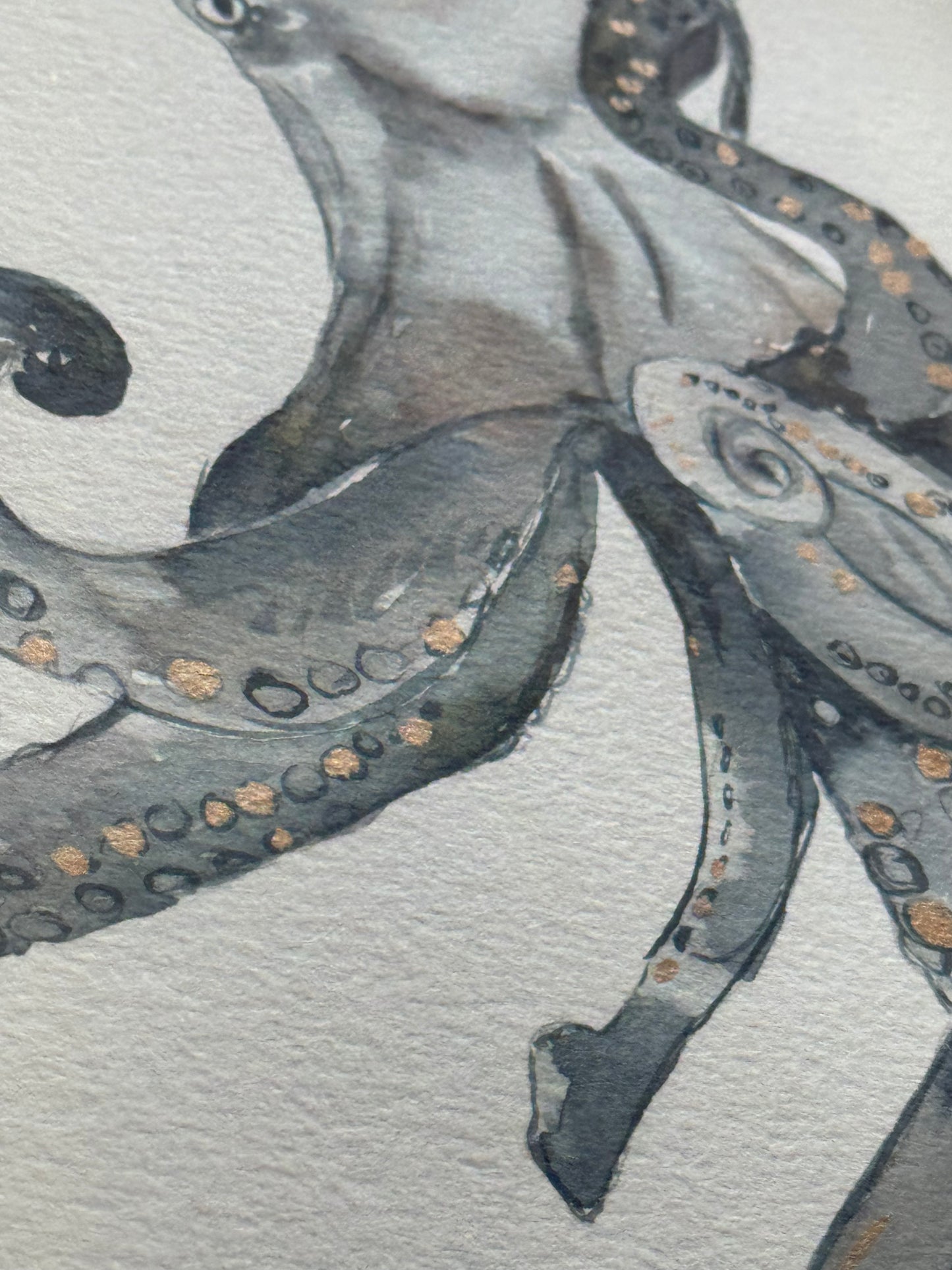 "Octopus"