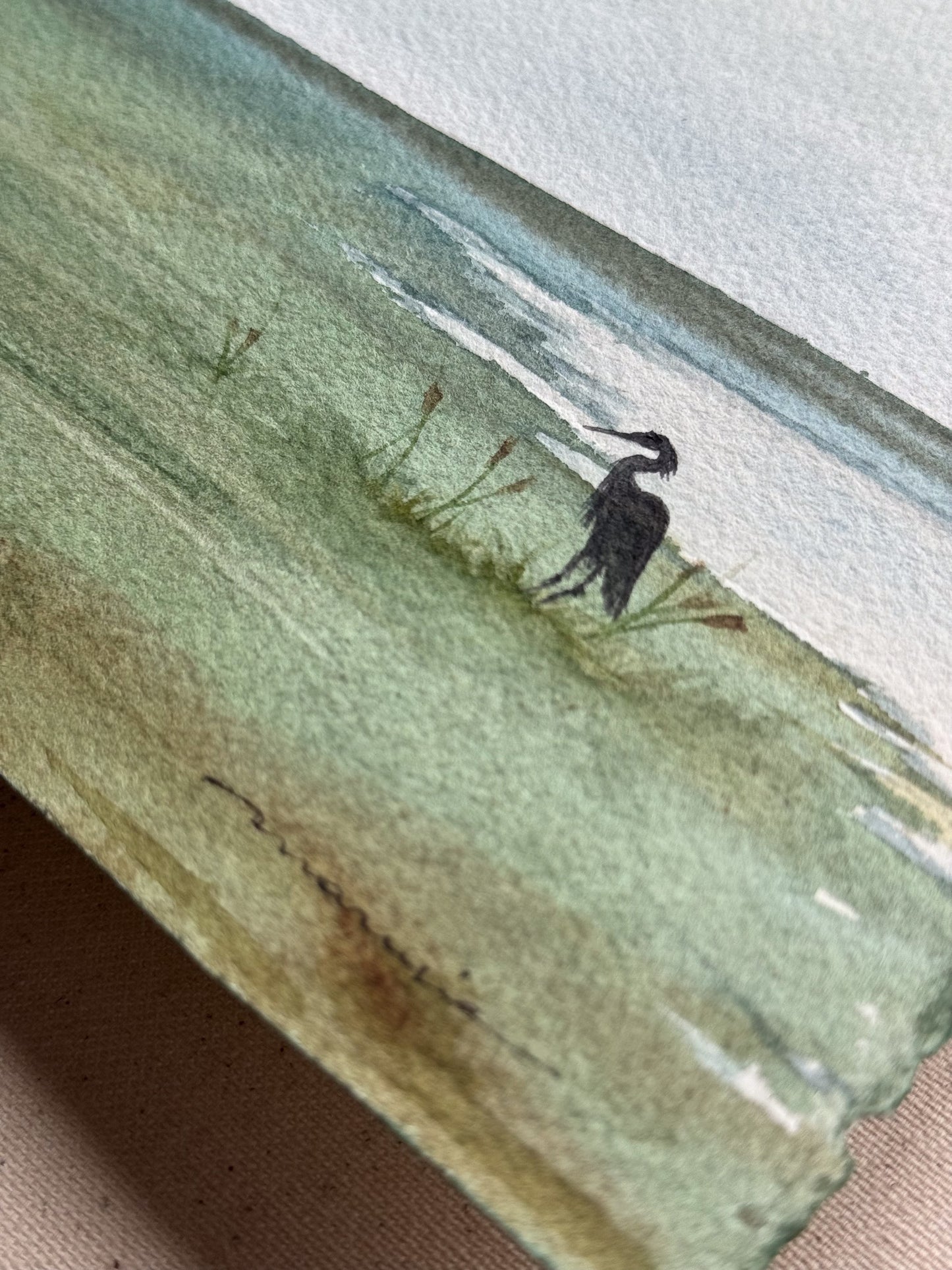 Echoes of the Lake
