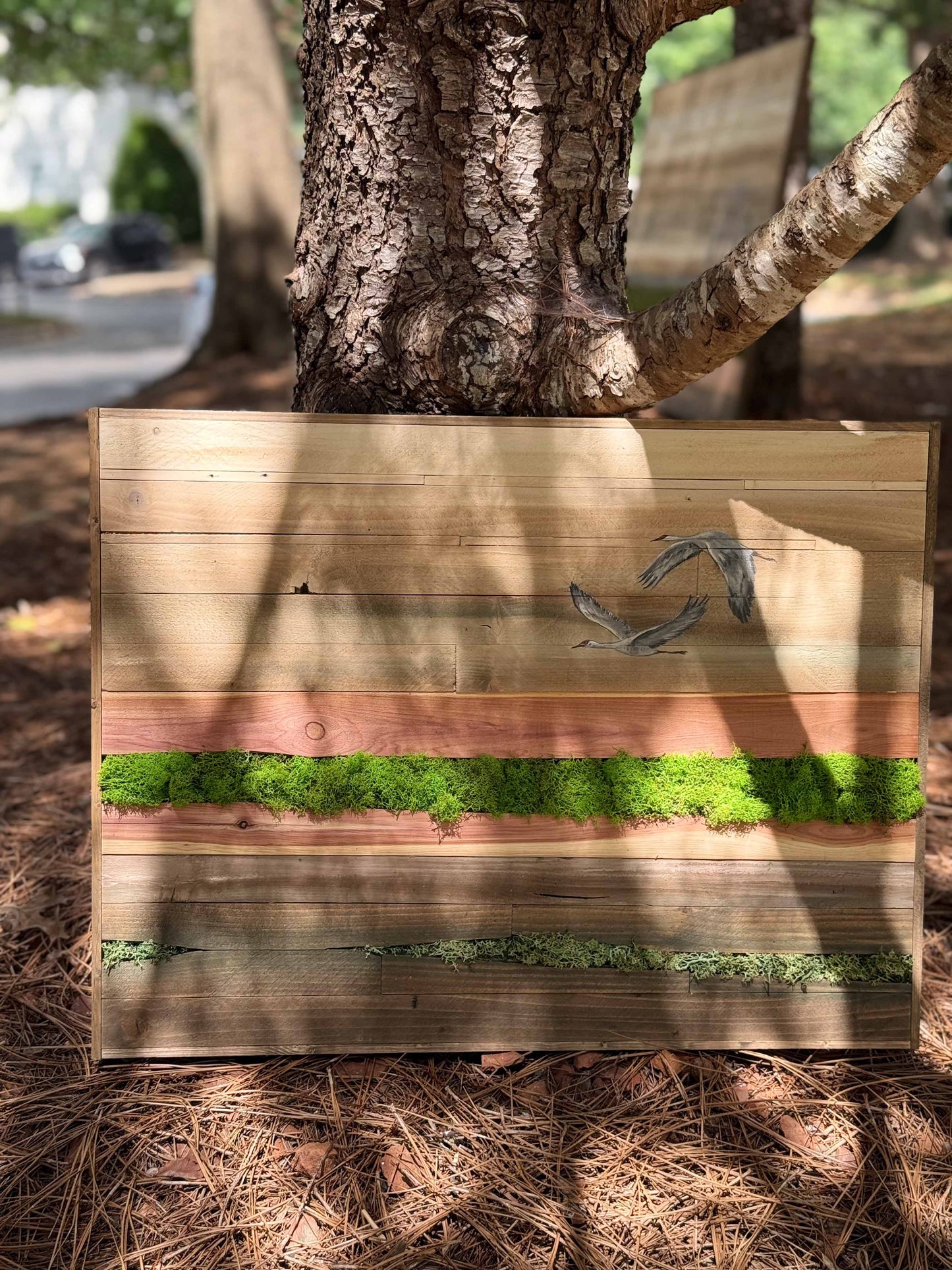 Wood Landscape "Above the Marsh"