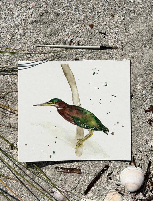 Green Heron