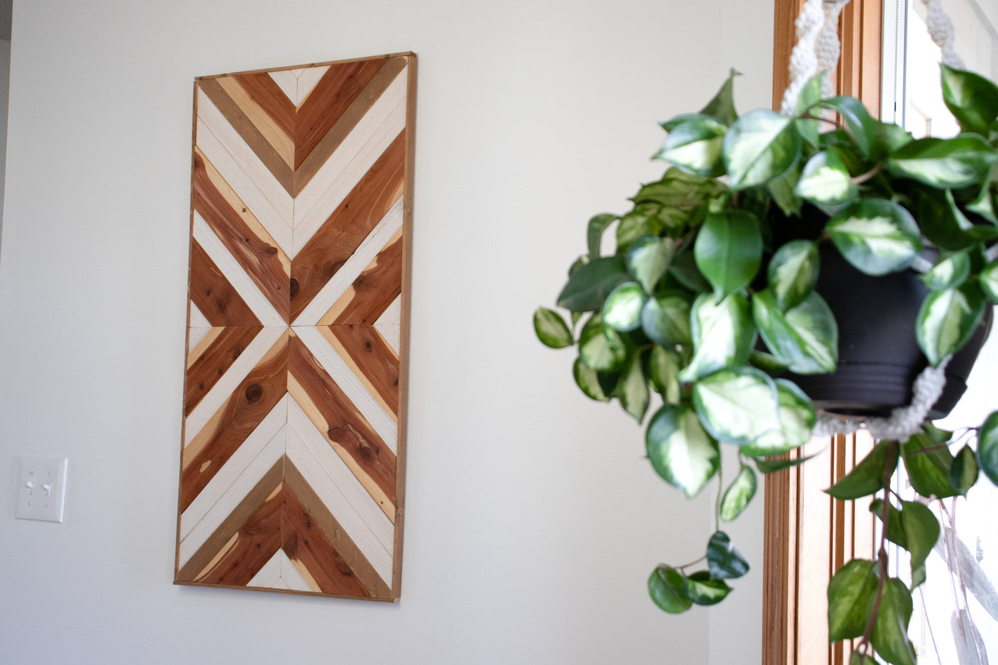 Essential Oil Wood Wall Art "Cedar Knots"