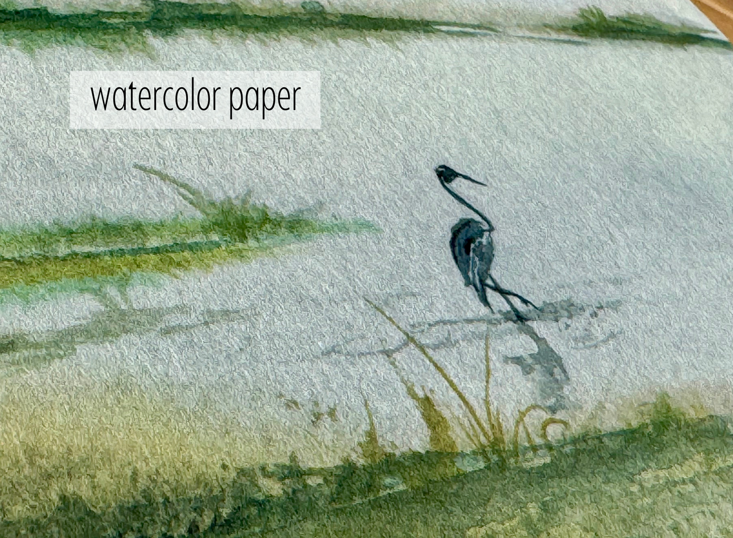 Great Blue Heron Print