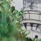 Cana Island Lighthouse II