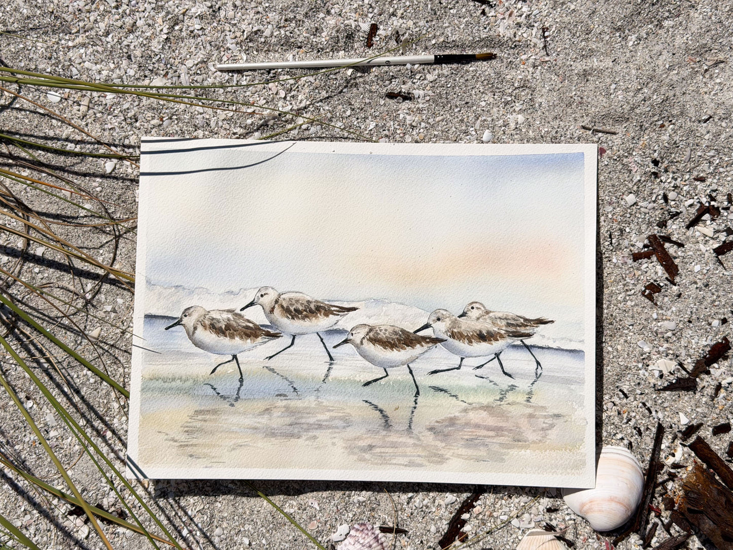 Sandpipers in the Morning