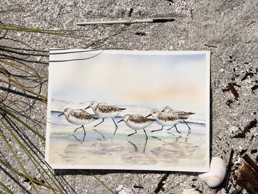 Sandpipers in the Morning