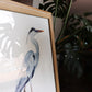 Great Blue Heron. Original watercolor painting