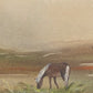 Evening Pasture
