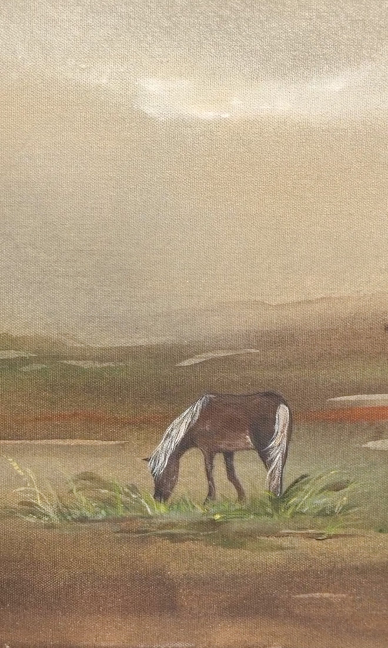 Evening Pasture