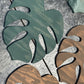 Monstera Leaf Table