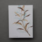 Pale Leaf