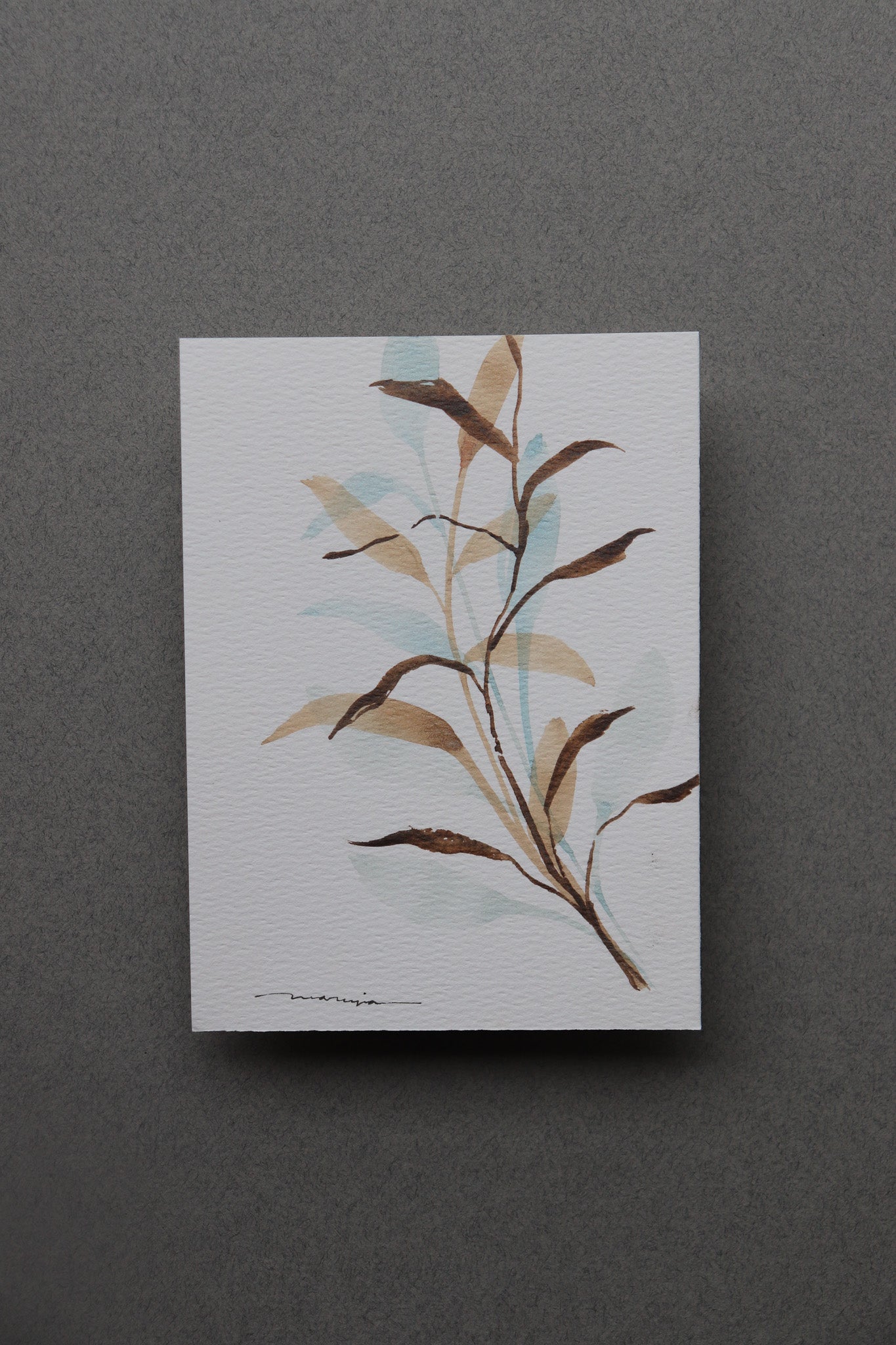 Pale Leaf