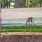 Wood Landscape "Feeding in the Morning Light"