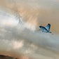 Somewhere Beneath The Clouds - Original Landscape Painting