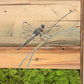 Wood Landscape "Dragonfly in the Quiet Marsh"