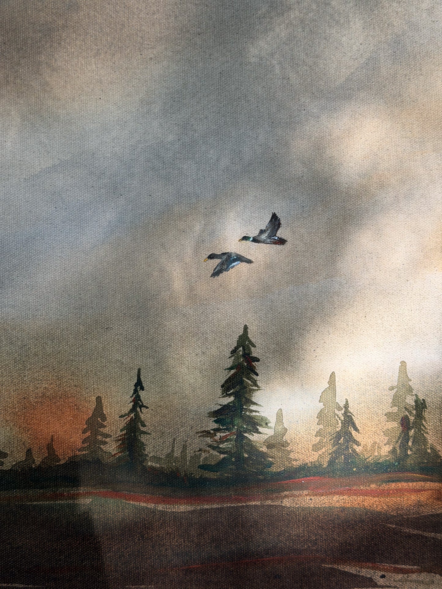 Evening Through the Pines
