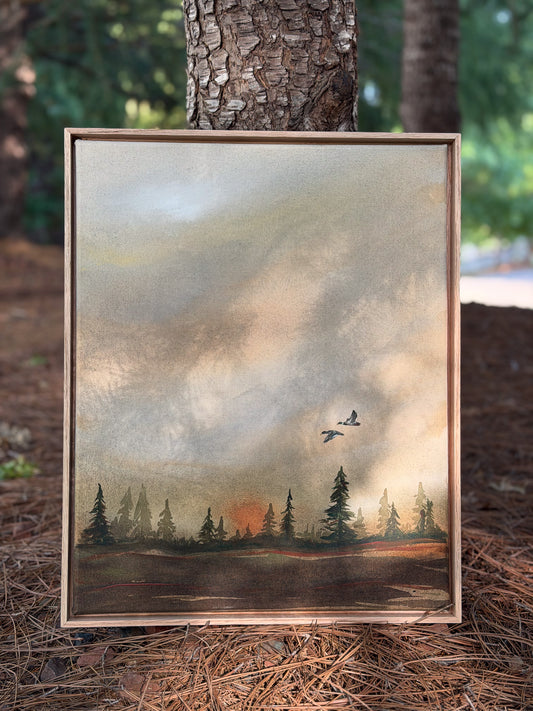 Evening Through the Pines
