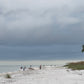 Sanibel Island Walk