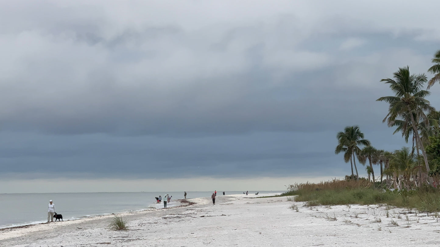 Sanibel Island Walk