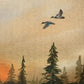 Evening Through the Pines