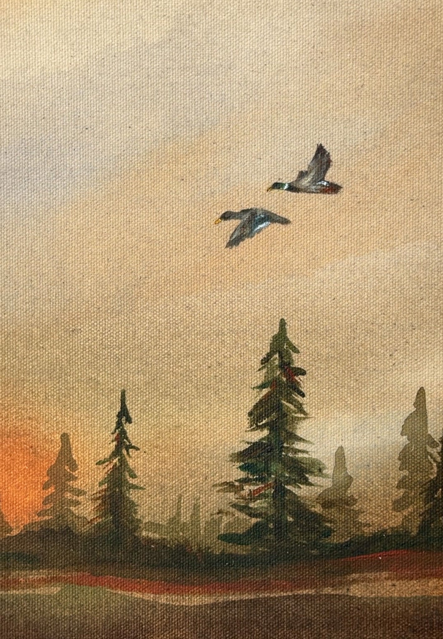Evening Through the Pines