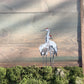 Wood Landscape "Sandhill Cranes at Dusk"