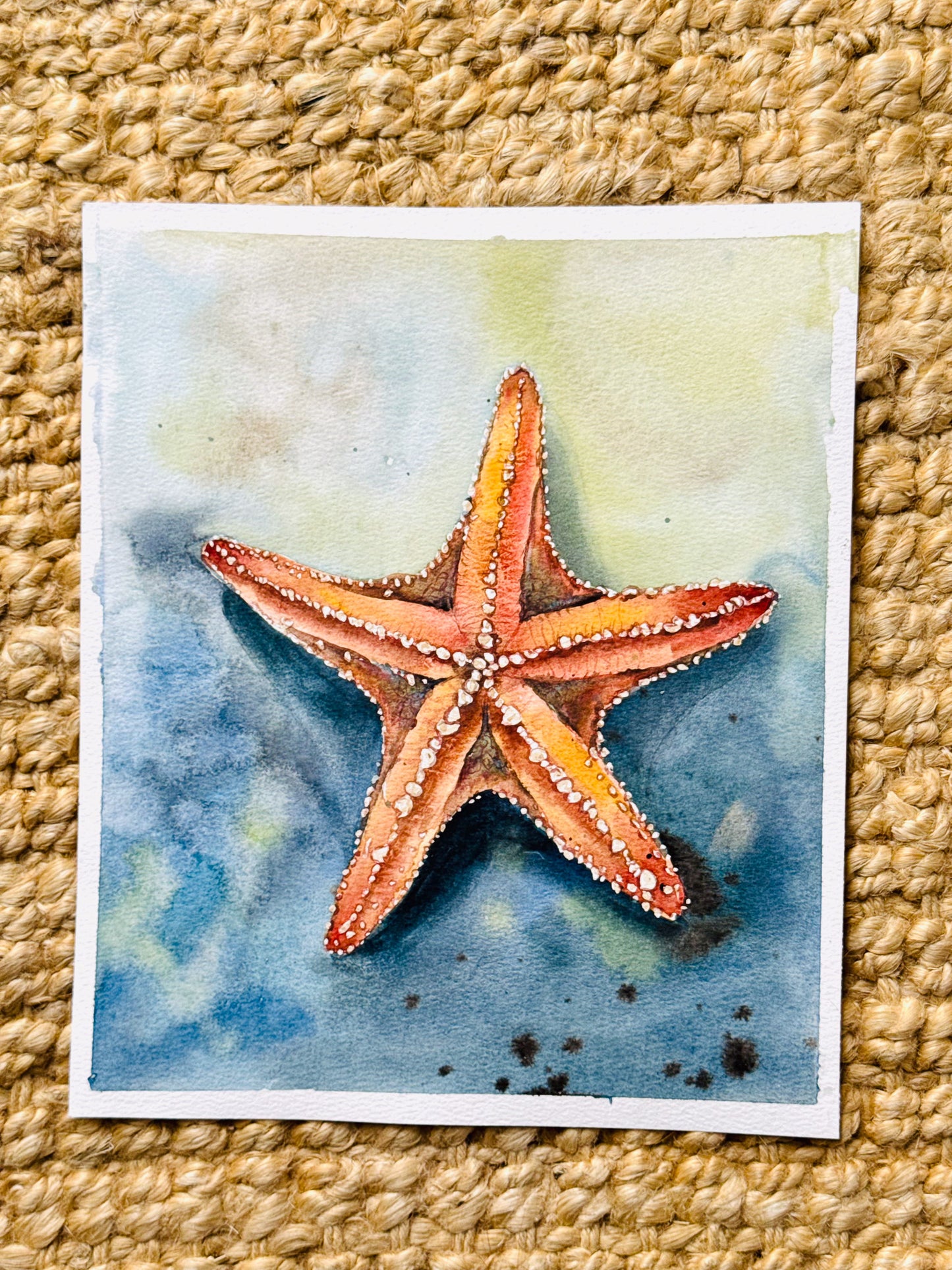 Starfish Stillness