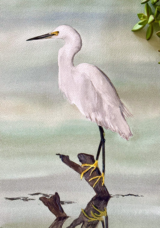 Snowy Egret Elegance