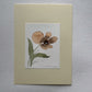 Hand painted watercolor cards