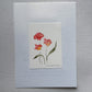Hand painted watercolor cards