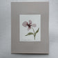 Hand painted watercolor cards