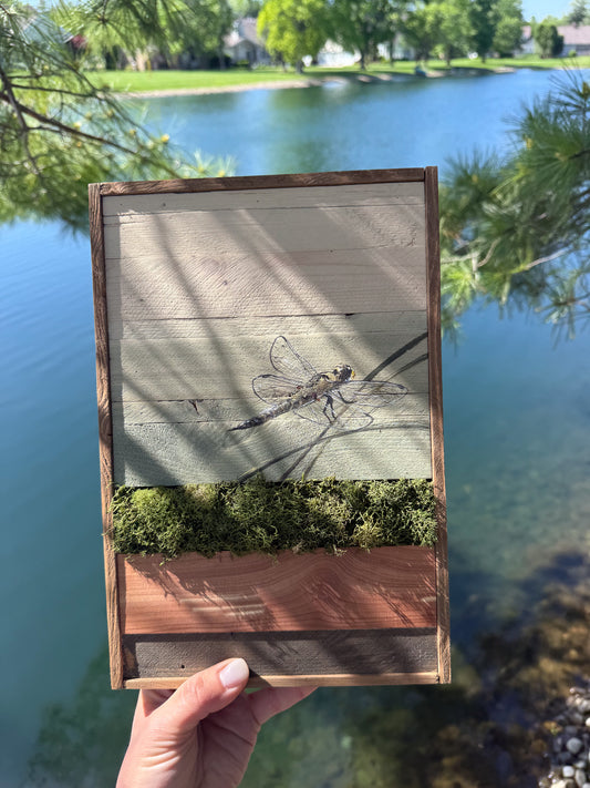Wood Landscape "Drawn to Still Waters"
