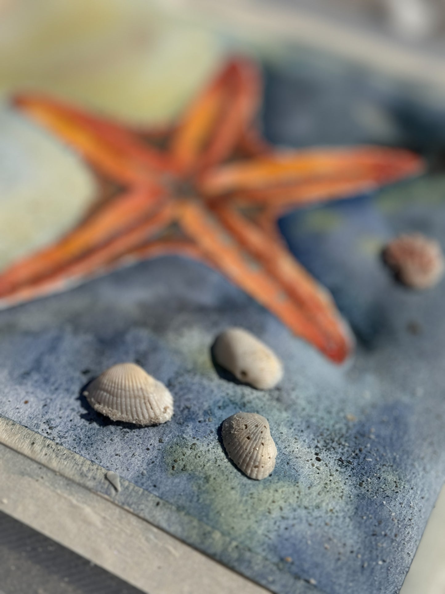 Starfish Stillness