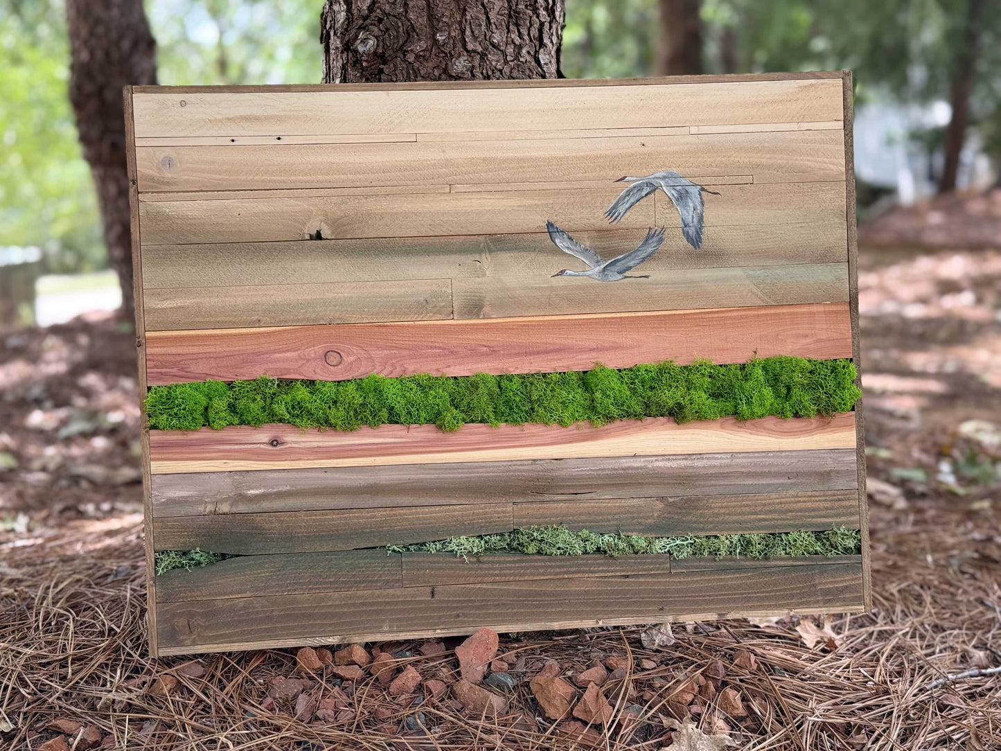 Wood Landscape "Above the Marsh"