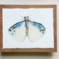 Flutter Friend. Watercolor print