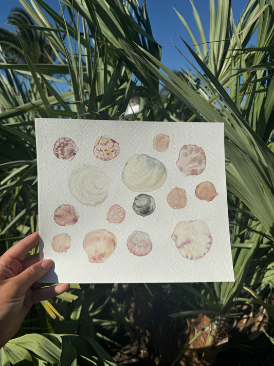 Shells of Sanibel