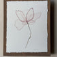 Tender Petals: A Delicate Dance of Pink. Watercolor print