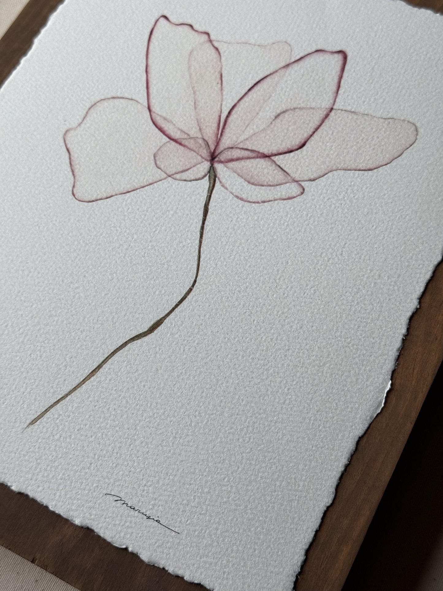 Tender Petals: A Delicate Dance of Pink. Watercolor print