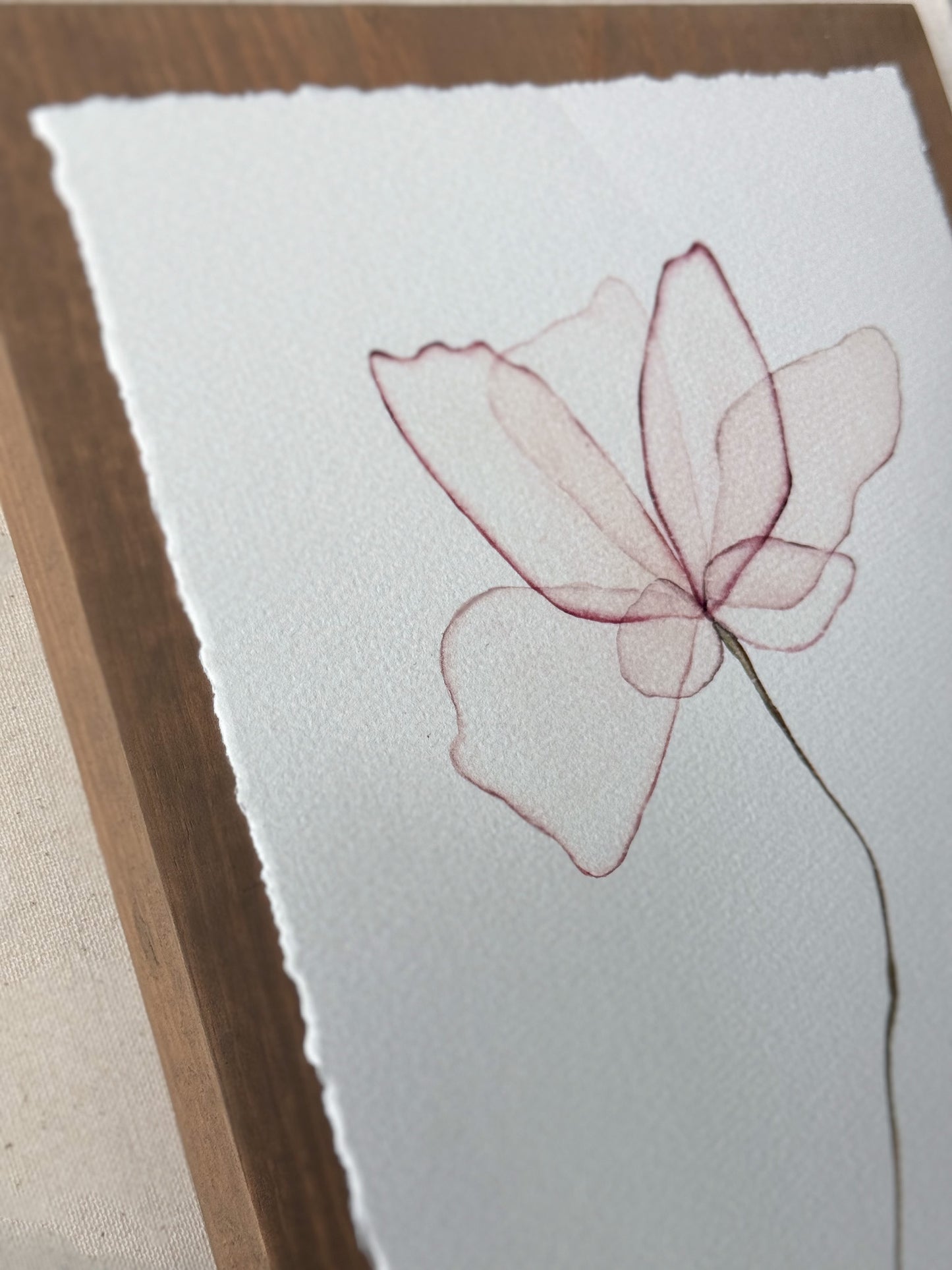 Tender Petals: A Delicate Dance of Pink. Watercolor print