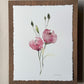 Gentle Pink Blooms. Watercolor print