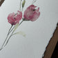 Gentle Pink Blooms. Watercolor print