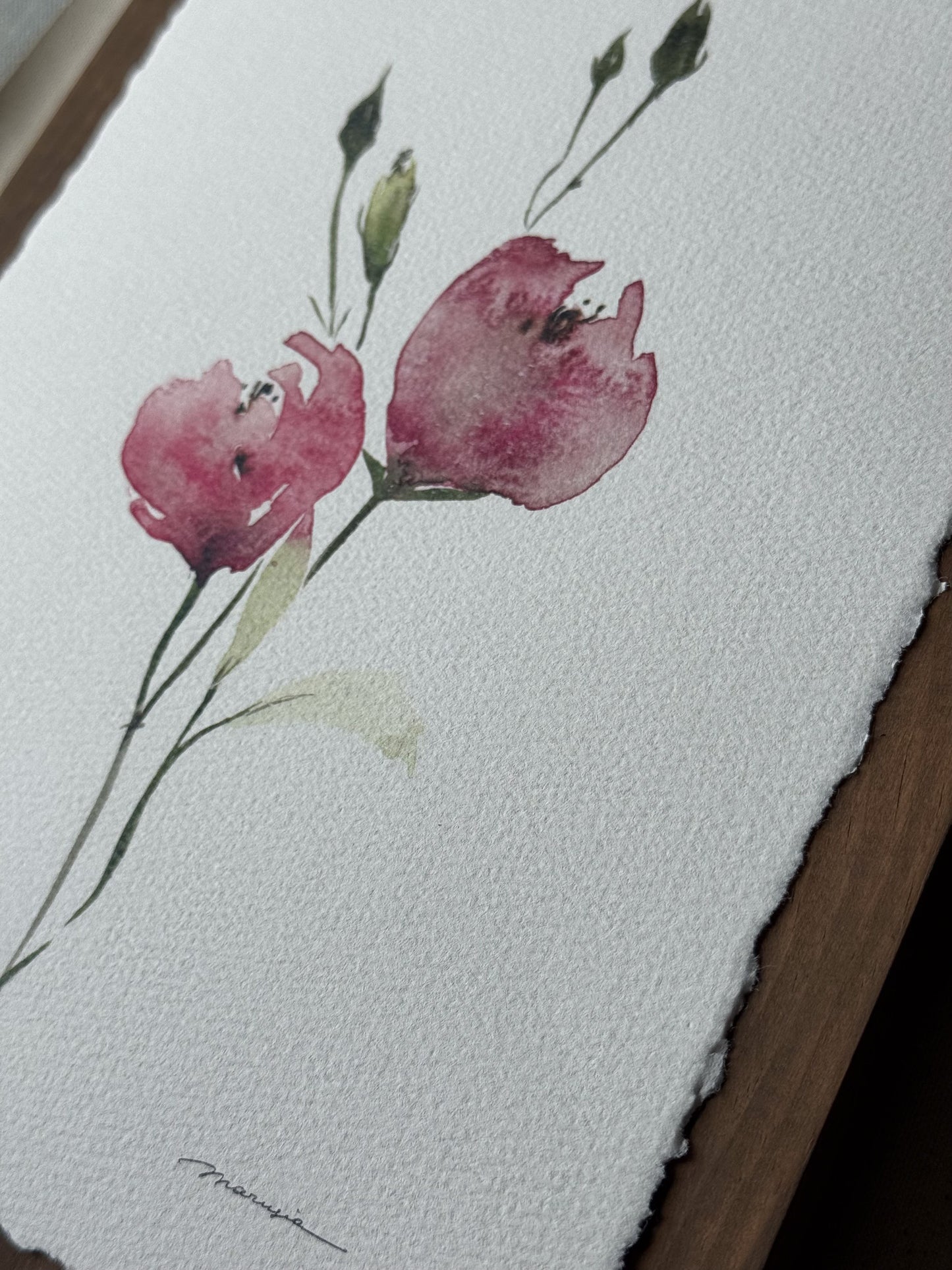 Gentle Pink Blooms. Watercolor print