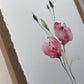 Gentle Pink Blooms. Watercolor print