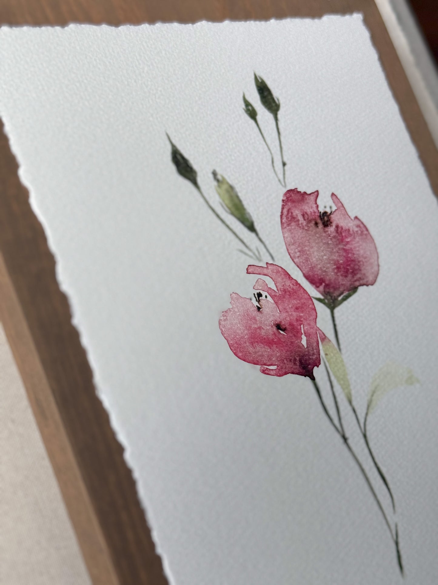 Gentle Pink Blooms. Watercolor print