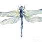 Dragonfly. Watercolor painting, original