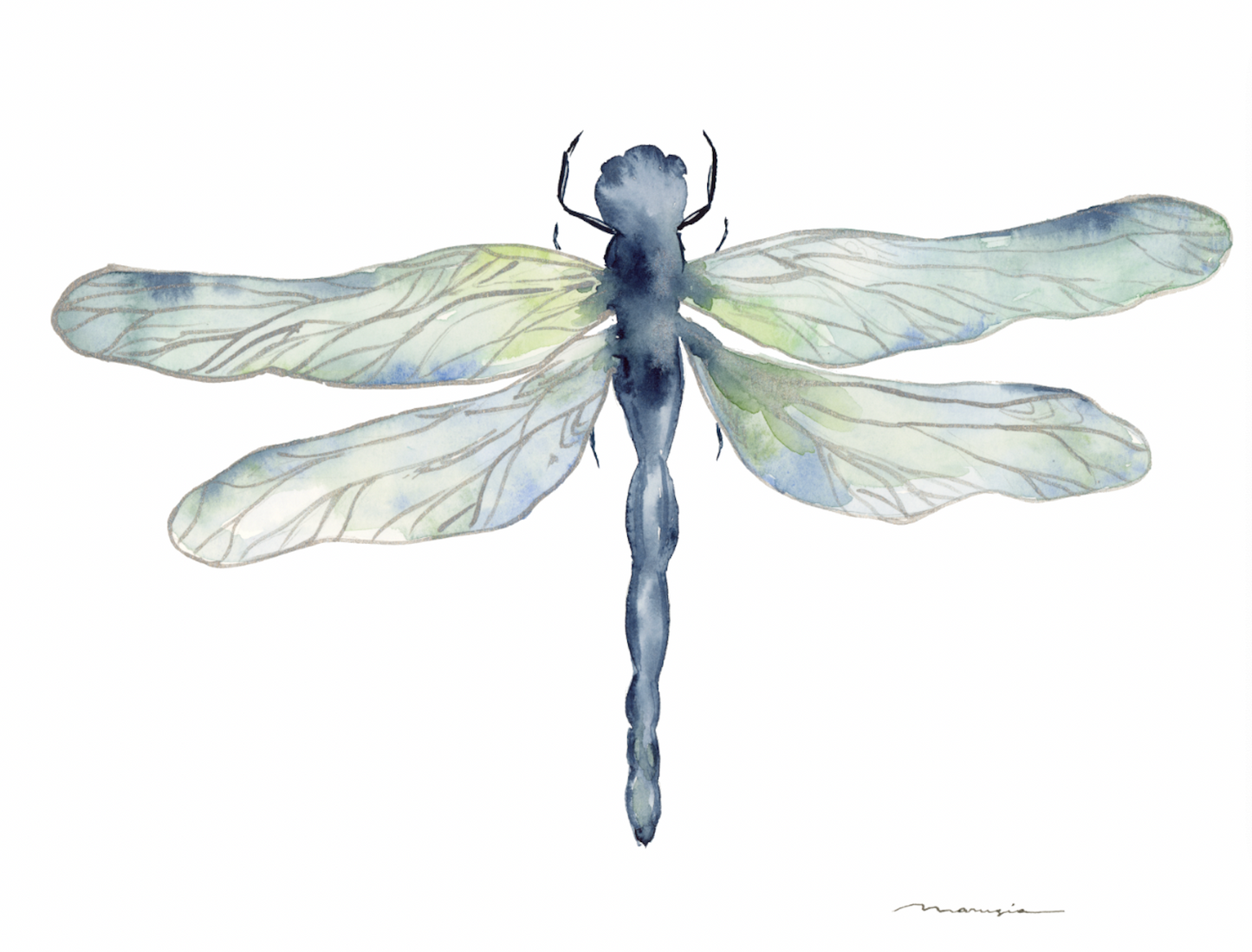 Dragonfly. Watercolor painting, original