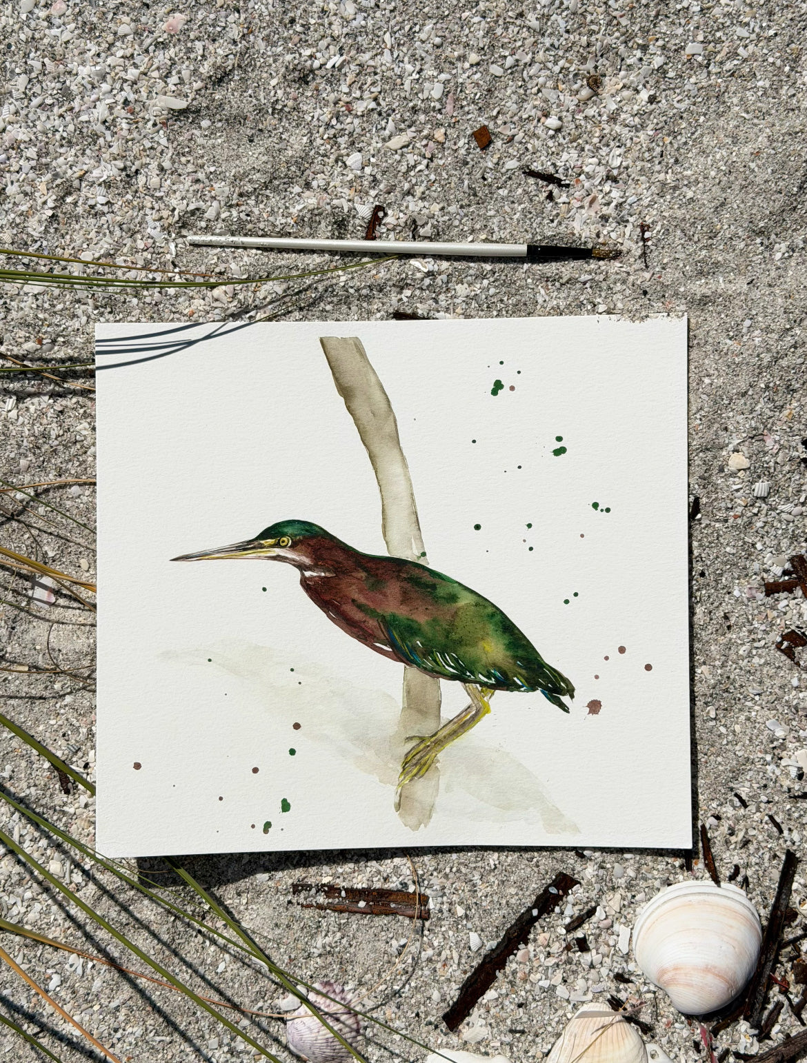Green Heron